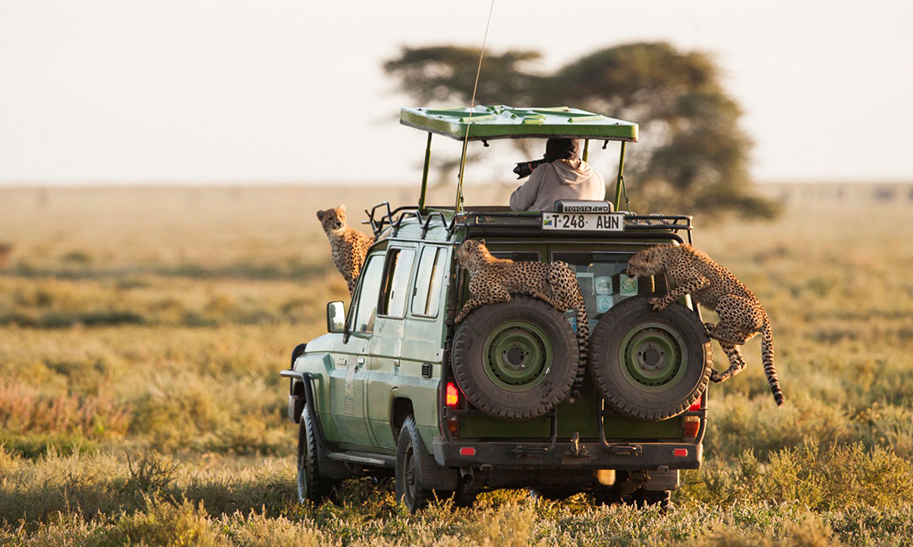 Tanzania cultural safari