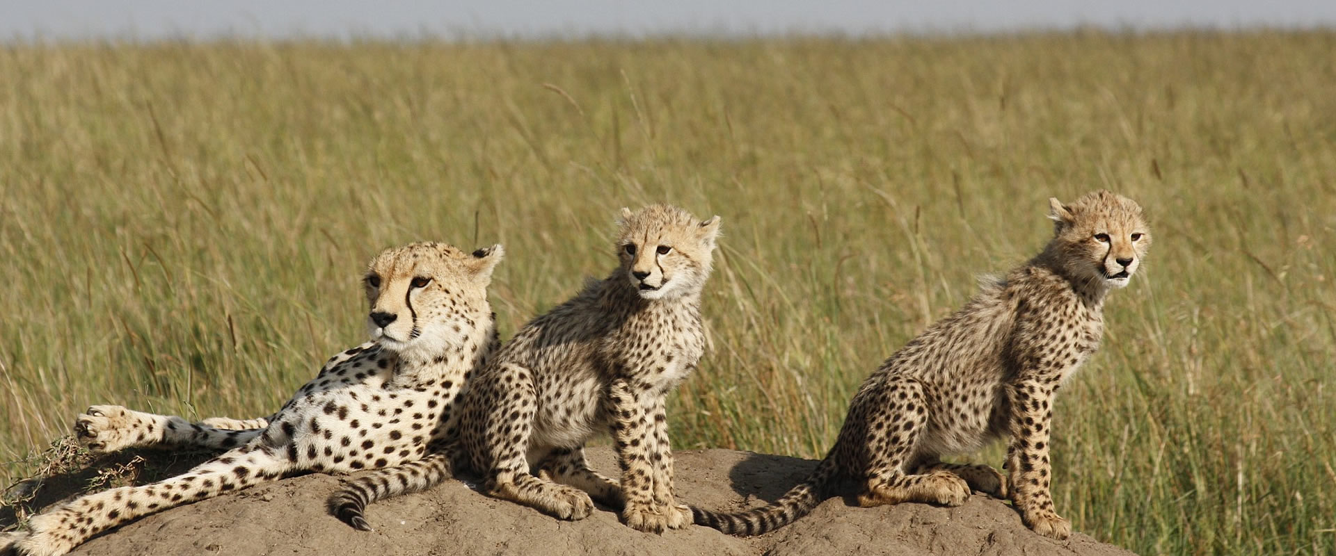 Cultural tour package in Tanzania