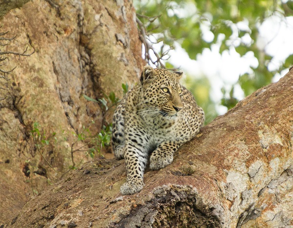 Tanzania cultural travel and heritage