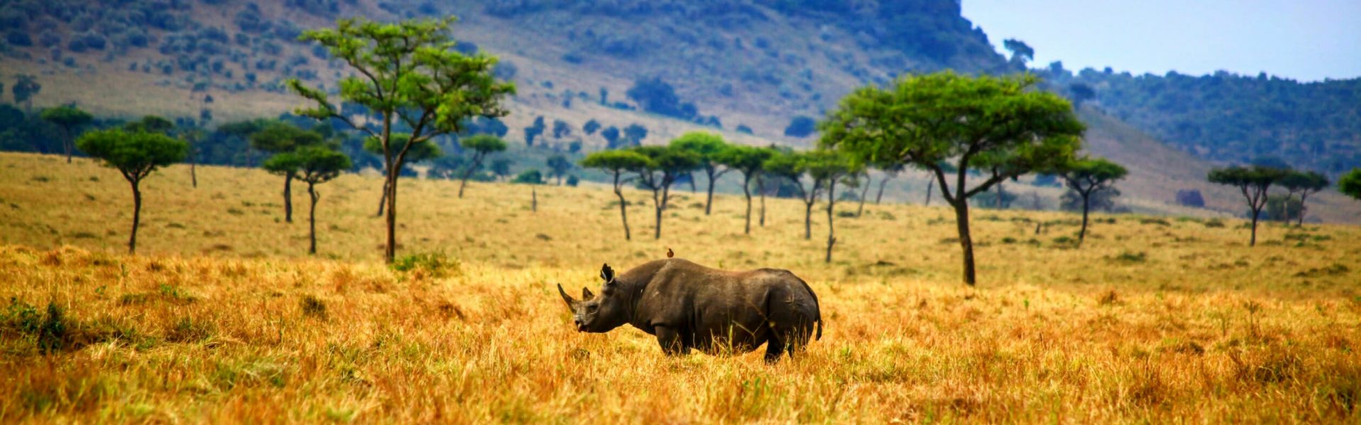 Tanzania cultural travel experience
