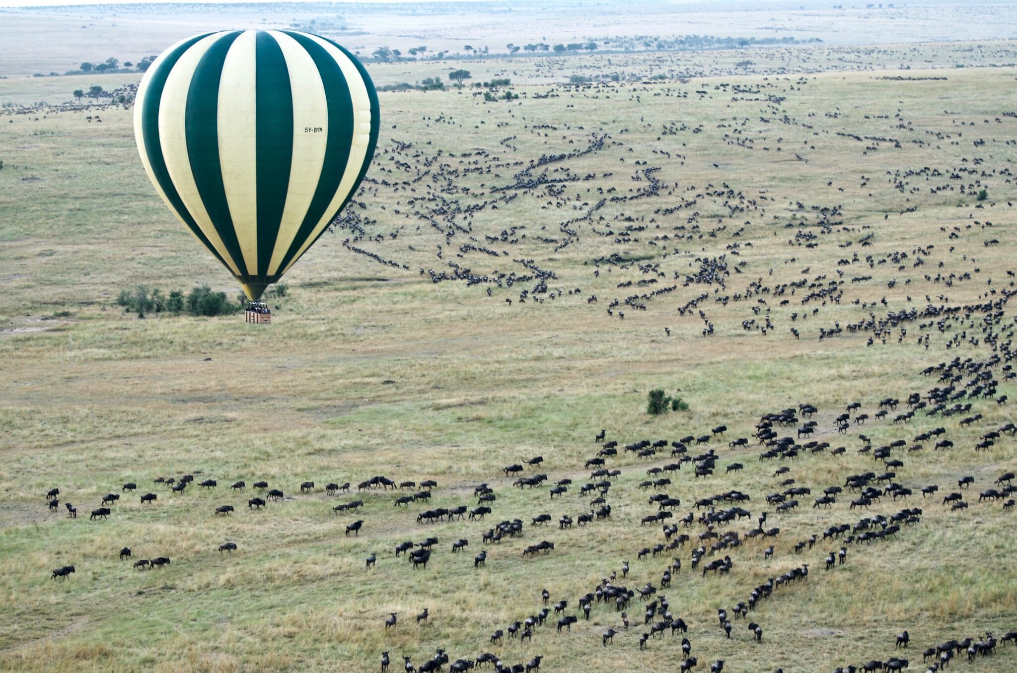 7 Days Tanzania Budget Safari